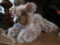 /album/xxx/simba-jpg/