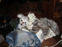 /album/xxx/immelchen-jpg/