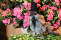 /album/xxx1/img-7464-jpg/