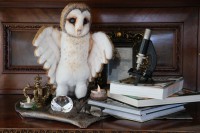 /album/xxx1/img-8224-jpg/